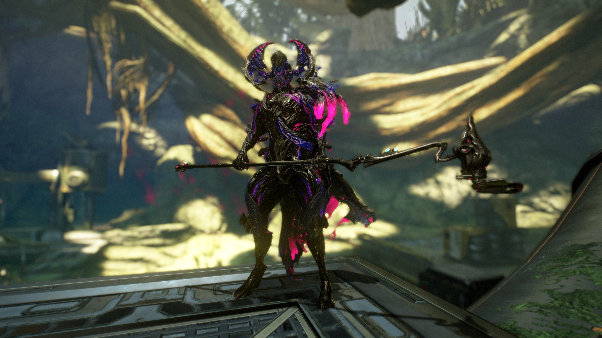 cultor